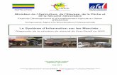 Le Système d’Information sur les Marchés - IGAD-Gabonigad-gabon.com/IMG/pdf/diagnostic_-_situation_du_marche_2013... · Ce travail s’est réalis ... l’Etat Gabonais et de
