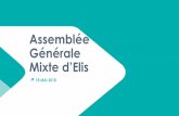 Assemblée Générale Mixte dElis - corporate-elis.com©e... · Berendsen est un net leader dans ces économies fortes et résilientes Potentiel de développement du modèle multi-services