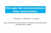 Chirurgie des communications inter ventriculaires - …amcar.ma/ressources/att/journees/2017/20170630-Moughil.pdf · maldie vasculaire pulonaire est au stade de non retour. Operabilite