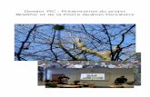 Dossier PIC : Présentation du projet Biodifor et de la …biodifor.fr/documents/activitesstav/rapport-pic-chambray2015.pdf · 2 Les diaporamas Pour la réalisation de notre projet