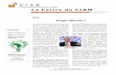 La Lettre du CIAN - cian-afrique.org · dégager une liste des thèmes à aborder lors de la Commission Sociale : contenu du package offert par ... des entreprises dans le développement