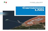 Cameroon LNG - engie.com · le Croissance et l’Emploi” (DSCE) mis en œuvre par le gouvernement du Cameroun et qui vise à faire du Cameroun un pays émergent à l’horizon 2035.