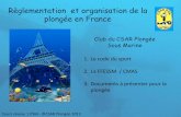 Règlementation et organisation de la plongée en Francecsarplongee.free.fr/supports_cours/Cours_N1_2012_ Reglementation.pdf · Règlementation et organisation de la ... Plongeur