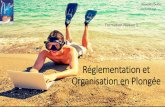 Réglementation et Organisation en Plongéenautileplongee.free.fr/cours/Cours Reglementation N1.pdf · La FFESSM est membre de la CMAS => reconnaissance de nos brevets dans le monde