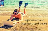 R©glementation et Organisation en Plong© Reglementation N2-N3.pdf  La R¨glementation Vos Pr©rogatives