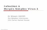 Infection à Herpès Simplex Virus-1 - Société … L’infection à HSV-1: Cosmopolite, très fréquente Se caractérise par - une primo-infection - une latence clinique - les récurrences