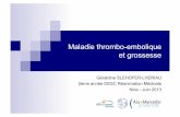 Maladie thrombo-embolique et grossessereamed.ujf-grenoble.fr/seminaires/archives/2013/Juin2013/... · thromboprophylaxie ... RPC SFAR 2006 . Prophylaxie . Prophylaxie . Prophylaxie
