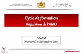 Régulation de l’AMO - coopami.org€¦ · Le volume de financement du système de santé au Maroc ? 0 10 20 30 40 50 1997/98 2001 2006 2010 15,0 18,9 30,6 47,8 6,8 % 10,1 % ...
