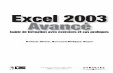 Eyrolles Excel 2003 Avancé avec exercices · Calculons la participation d’un commercial qui représente 5,25 % du Chiffre des ventes net. Le chiffre des ventes net dépend du montant
