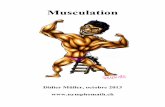 Musculation - apprendre-en-ligne.net · Méthode générale de résolution ... Didier Müller - LCP - 2013 Cahier Musculation 1. CHAPITRE 1 Autres notations Il existe d'autres notations
