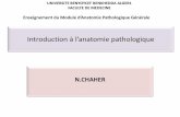 Intodution à l’anatomie pathologiue - ceil.univ-alger.dzceil.univ-alger.dz/.../3annee/Introduction_a_lanatomie_pahologique.pdf · 1. Définition de l’anatomie pathologique L’anatomie
