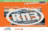 Route des GéRaniums liaison rn3 · 6 1.4.4 Les variantes Est 3 Les deux variantes EST quittent l’actuelle RN3 entre Bourg-Murat et le terrain militaire de la Plaine-des-Cafres,