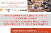 CAJOU AU BENIN : GESTION DES RISQUES BANCAIRES · forum sur l’accÈs au financement des transformateurs d’anacarde ci –07 & 08 décembre 2017 sommaire 3 technoserve benincaju