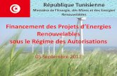 Finanement des Projets d’Energies · 2017-09-07 · • Manuel de procédures: publié sur le site web du ministère le 11 ... (éolien ou solaire), des mesures d’atténuation