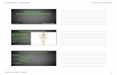 Ostéologie - Anatomie du squelettecesabplille2017.hautetfort.com/media/02/02/1508530508.pdf · Anatomie du squelette ... • La clavicule : petit os qui suit la courbe du thorax