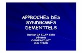 APPROCHES DES SYNDROMES DEMENTIELS - · PDF fileEtiologies des syndromes démentiels 3 entités : ––Démences dégénératives (maladie Démences dégénératives (maladie d’Alzheimer)