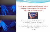 Audit de pratiques de l’hygiène des mainsformaticsante.fr/images/stories/Dossiers/Setif/Auditpratiques... · stratégie de prévention des infections nosocomiales, qui représentent