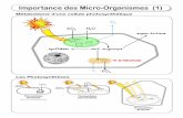 Importance des Micro-Organismes (1) - Sciences de la ... · une analogie amusante avec les organites à double membrane dont certaines protéines majeures ... et osmotiques et l’ensemble