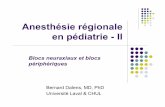 Anesthésie régionale en pédiatrie - II · paravertébraux : fuites ++ (↗ ... Écho-anatomie L 1 Cône médullaire Ligament jaune Dure-mère ... Muscle grand droit Aponévrose