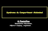 Syndrome du Compartiment Abdominal G.Plantef¨ve .Principe « dâ€™autotransfusion » ... â€¢ + de