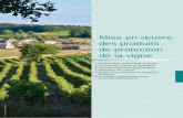 Mise en œuvre des produits de protection de la vigne · 1 Mise en œuvre des produits de protection de la vigne GUIDE VITICULTURE DURABLE CHARENTES Documentation technique de l’exploitant