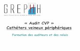 « Audit CVP » Cathéters veineux périphériquescclin.grephh.fr/PDF/CPV/ktv_formationauditeur.pdf · Cf. définition glossaire. 11 ... Explorations fonctionnelles 5 Autre 19 ...