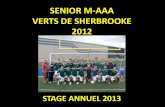 Sénior M-AAA Verts de Sherbrooke 2012 - Soccer Estriesoccer-estrie.qc.ca/download/stage-annuel-des-entraineurs/2013... · stage annuel 2013 . ... entraineur u8f, magog • etÉ 2006