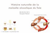 Histoire naturelle de la maladie alcoolique du .maladie alcoolique du foie DES 08/02/2014 Morgane