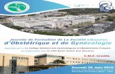 gyneco hospital day - lsog.org.lblsog.org.lb/public/uploads/documents/654903204.pdf · Pr. Olivier Graesslin Professor in the Department of Gynecology and Obstetrics in the Universitary
