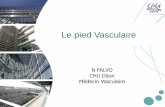 Le pied Vasculaire - streaming-canal-u.fmsh.fr · Purpura vasculaire pétéchial et ecchymotique ... Echo Doppler afin d’éliminer une composante veineuse valvulaire ...