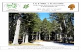 Le frêne la morille - Société Mycologique et Botanique ...champignon38.asso-seyssinet-pariset.fr/.../2012/12/35aout2015.pdf · 15 à 17 Les plantes et arbres en milieu urbain ou