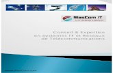Conseil & Expertise en Systèmes IT et Réseaux de ... commerciale BlasCom IT… · Solutions de Monitoring, Virtualisation, Stockage, Load-balancing Outsourcing / Insourcing Rédaction