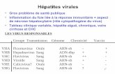 Virus de l’hépatite B - dcem1p7.free.frdcem1p7.free.fr/Bacterio/virotd1.pdf · • Tableau clinique variable, hépatite aiguë, chronique, voire cirrhose et CHC ... L’Hépatite