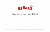 Rapport annuel 2013 - glaj-ge.ch · Rapport de la fiduciaire pour l’année 2013 ... Ayant fait face à une perte importante lors de l’exercice comptable 2012, le GLAJ-GE ... expérience