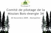 Comité de pilotage de la Mission Bois-énergie 34 Powerpoint Actions... · Commune de Castelnau le Lez Castelnau le Lez 400 174 ... Conseil Général de l'Hérault Prades le Lèz
