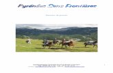 Dossier de presse - Pyrénées à cheval randonnées ... · chevaux en liberté récupérant tranquillement à vos côtés, ... et découvrirez les traces du passé, ... En compagnie