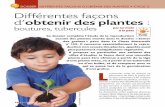 DOSSIER DIFFÉRENTES FAÇONS D’OBTENIR DES … · ce que connaissent les enfants en matière de plantes, en discu-tant les critères des classifications qu’ils proposent. Les
