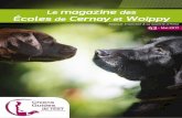 magazine Écoles Cernay Woippy - Page d'accueil - Chiens Guides de … · 2017-06-22 · ... la remise d’un chien à une personne et donc la formation ... votre avis nous intéresse