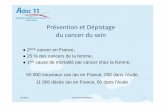 Prévention et Dépistage du cancer du sein - oncolr.org · Prévention et Dépistage du cancer du sein 2ème cancer en France, 25 % des cancers de la femme, 1ère cause de mortalité