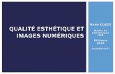 Rémi COZOT QUALITÉ ESTHÉTIQUE ETvideos.rennes.inria.fr/confLunch/RemiCozot/confLunchEsthetique.pdf · Évaluation, calcul de la qualité esthétique des images [Datta et al., ECCV