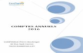 COMPTES ANNUELS 2016 - Journal Officiel · COMPTES ANNUELS 2016 CONFIANCE Pierre Boulenger 32 Rue Sadi Carnot 78120 RAMBOUILLET &(*, 3DJH ... 2015 sur 2 exercices : 2016 et 2017 ...
