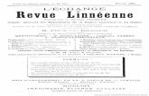No 242. Revue Linnéenne - linneenne-lyon.org · Tanger (coll. Carret et Pic). - Voisin de brevicornis Kr. mais plus robuste, élytres maculés de jaune seulement à l'extrême sommet,
