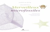 préface d’Hubert Reeves Merveilleux microfossiles · 2017-02-15 · Claude Lévi-Strauss nous invite à ... Extrait du discours prononcé à Genève le 28 juin 1962 lors des cérémonies