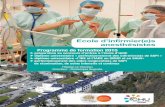 Ecole d’infirmier(e)s anesthésistes - CHU Limoges · Programme de formation 2015 préparation au concours d’entrée à l’école d’IADE diplôme universitaire « perfectionnement