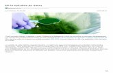 De la spiruline au menu - Congodorpen - Homecongodorpen.org/.../content/documenten/uploads/spiruline.pdf · 2016-09-19 · La spiruline (Arthrospira inoculum), est une cyanobactérie