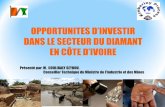 EN CÔTE D’IVOIRE - photos.state.gov PDF... · I. ZONES DIAMANTIFERES EN CÔTE D’IVOIRE Deux (02) zones de production de diamants bruts sont connues en Côte d’Ivoire: - Séguéla-Tortiya