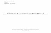 Cours n°12 : Histologie du Tube Digestifl3bichat2013-2014.weebly.com/uploads/1/3/9/0/13905422/roneo_cours... · Introduction : Organisation générale du tube digestif L’appareil