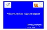 Obstructions dans l appareil digestif - IFSI DIJONifsidijon.info/.../11/2014-Obstructions-dans-l-appareil-digestif.pdf · Obstructions dans l’appareil digestif Pr Pablo Ortega Deballon