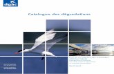Catalogue des dégradations - stac.aviation-civile.gouv.fr · Le relevé de dégradations doit être assimilé à une «mesure» et à ce ... dépendant du type de chaussée ... maximale