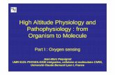 High Altitude Physiology and Pathophysiology : .High Altitude Physiology and Pathophysiology : from
